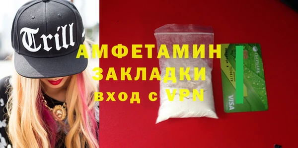 молекула духа Алзамай