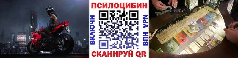 Псилоцибиновые грибы Psilocybine cubensis  Гагарин 